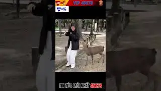 miệng n&oacute;i kh&ocirc;ng #45678 #45678trangchu #45678com #game45678 #gamegiaitri45678 #gamehay #cacuoc