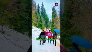 Pakistani vlogs#shorts