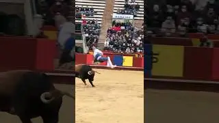 Toro Arena Valencia Spain #toro #arenavalencia #valencia #matador #boğag&uuml;reşi #spain #ispanya