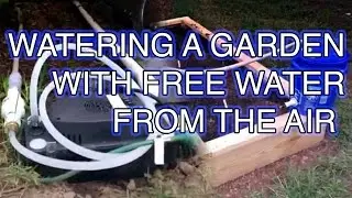 Free water from the air, and my self watering raised garden bed.
