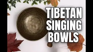 Four Tibetan Singing Bowls | Chakra Sound Healing Journey (Throat, Solar Plexus, Root, Sacral)