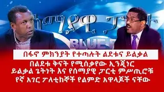 ዘ Ethiopia|በፋኖ ምክንያት የተጣሉት ልደቱና ይልቃል |ይልቃል  እና የሰማያዊ ፓርቲ ምሥጢሮቹ|የኛ አገር ፖለቲከኞች የልምድ አዋላጆች ናቸው #lidetu