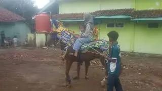 Asyik Naik Kuda Renggong 