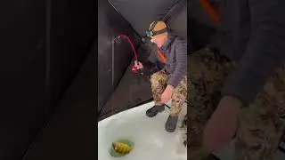 Jumbo Perch NEARLY State Record! 😱