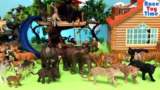 Schleich Jungle and  Forest Animal Toy Collection
