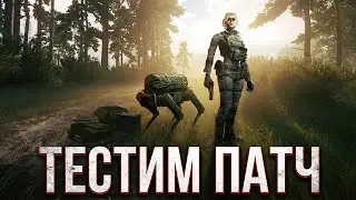 Новый день новый патч! Бежим тестировать и обсуждать новую серию вопросов и ответов!