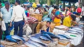 MUMBRA & THANE KA FISH MARKET AREA )