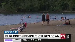 Blue-green algae beach closures down this summer statewide
