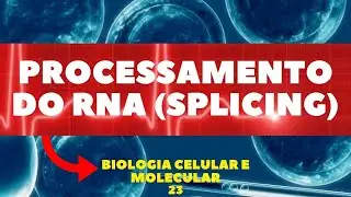 PROCESSAMENTO DO RNA - (SPLICING) - AULA 23