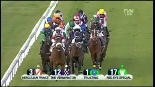 2011 The Metropolitan Handicap - The Verminator.