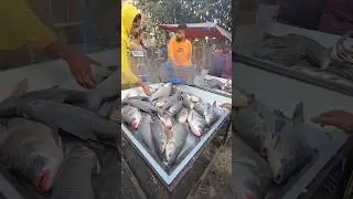 Рынок живой рыбы #тренды #шорты #рыба #короткометражкинаYouTube