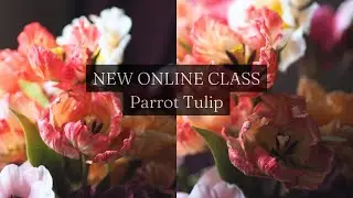 ***NEW CLASS*** Parrot Tulip Sugar Flower Tutorial #sugarflowers #cakedecorating #cake