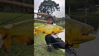 EU N&Atilde;O ESPERAVA PEGAR ESSE PEIXE!!!! 😱🐟👑 #pescaria #peixe #pescadores