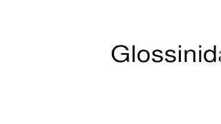 How to pronounce Glossinidae