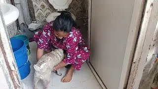 Aaj nalaya Rubi aur cherry ko