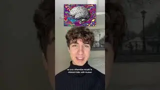 How do animals trip on psychedelics?