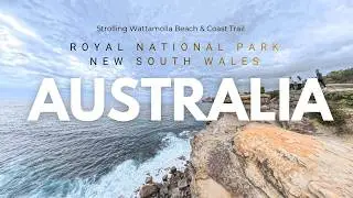 Exploring Wattamolla Beach and Coast Trail at Royal National Park, New South Wales, Australia
