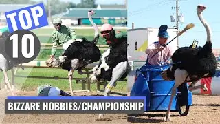Top 10 Strange Hobbies You Could Be A Champion At
