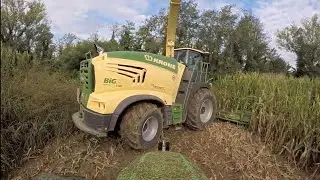 Krone Big X 1180 Mais Silage 2020