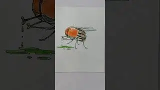 Easy cartoon housefly drawing /draw cartoon housefly #shorts #housefly #cartoons #cartoon #fly #art