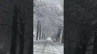 Kansas City Winter Wonderland 🤯❄️