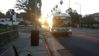 2024 Pasadena Transit New Flyer XN35 5034
