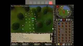 Lost City (2004Scape) - 3t Willows and FM with a Metronome