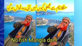 No Fish in Mangla Dam | Fishermen in Trouble | Livelihood at Risk