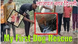 Dog rescue in Lajpat Nagar Delhi