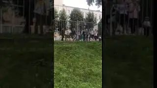 bneVideo Belarus protests school children shout long live Belarus from playground school