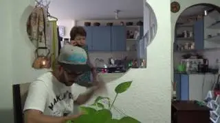Esta semana vuelve la Nea mayor