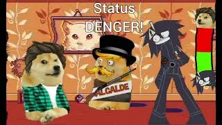 curious cat pero &iquest;prota?... vs Danger Abbie