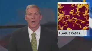 What to know about human and animal plague in New Mexico