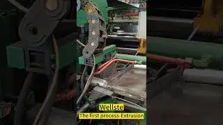 Extrusion Process | Wellste