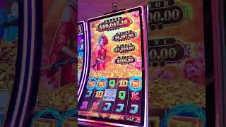 Samurai 888 - High Limit - Jackpot Feature #highlimit #highlimitslots #casino #gambling #slots
