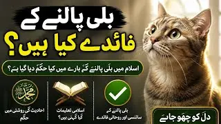 Billi palny sy kia hota ha? About animals and pets Details in video!!|The World Vibes 🌏
