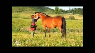 Berenika and the herd - Meditatio Academia Liberti