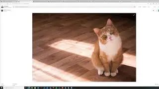 Remove image backgrounds using ⚡Azure Functions⚡ | Make your own Remove.bg API clone