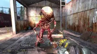 half life two two two two
