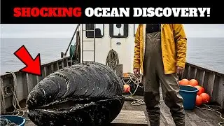 Fisherman Thought He Found A Massive Clam, Turns Pale When He Looks Inside