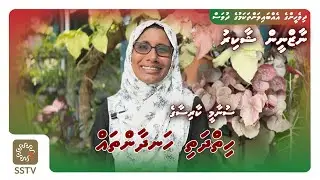 Tsunami kaarisaage hiydhathi handhaan thah - Naazneen Shakir