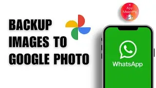 How to Backup WhatsApp Images to Google Photos