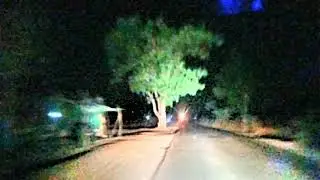 VIKRAMGADH FOREST