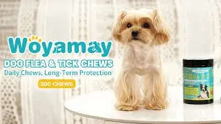 Woyamay: Your Dog's Flea Problem Solved in One Bite