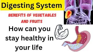 Digestive System Explained: How Fruits & Vegetables Transform Your Health Naturally #health