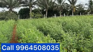 Land for sale 4 acre Challakere general property 