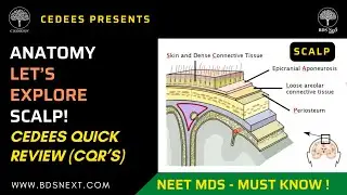 Lets Explore Anatomy of the Scalp - Cedees Quick Review (CQR's) - NEET / INI-CET !!