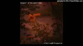 Dreamin' about the good times