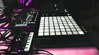 random noise 104 Polyend-Dreadbox Medusa, Bastl Thyme, NTS-1