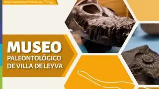 Anatomía de una Exploración Paleontológica